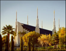 Load image into Gallery viewer, Las Vegas Afternoon Sun
