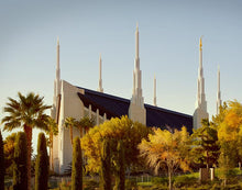 Load image into Gallery viewer, Las Vegas Afternoon Sun
