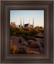 Load image into Gallery viewer, Las Vegas Desert Garden
