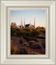 Load image into Gallery viewer, Las Vegas Desert Garden
