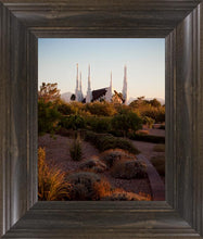Load image into Gallery viewer, Las Vegas Desert Garden
