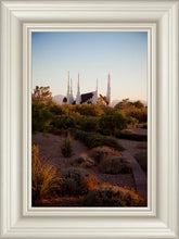 Load image into Gallery viewer, Las Vegas Desert Garden
