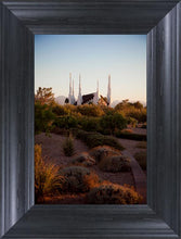 Load image into Gallery viewer, Las Vegas Desert Garden
