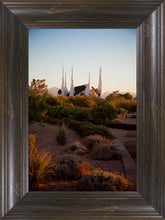 Load image into Gallery viewer, Las Vegas Desert Garden
