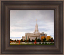 Load image into Gallery viewer, Mount Timpanogos Autumn Trees

