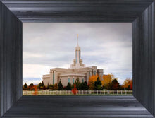 Load image into Gallery viewer, Mount Timpanogos Autumn Trees
