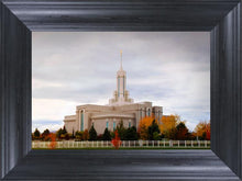 Load image into Gallery viewer, Mount Timpanogos Autumn Trees
