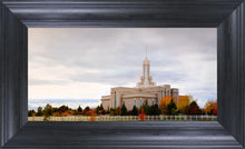 Load image into Gallery viewer, Mount Timpanogos Autumn Trees

