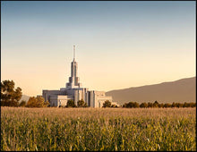 Load image into Gallery viewer, Mount Timpanogos Harvest
