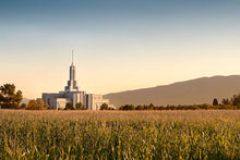 Load image into Gallery viewer, Mount Timpanogos Harvest
