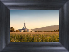 Load image into Gallery viewer, Mount Timpanogos Harvest
