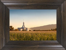 Load image into Gallery viewer, Mount Timpanogos Harvest
