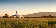 Load image into Gallery viewer, Mount Timpanogos Harvest
