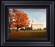 Load image into Gallery viewer, Nauvoo Changing Seasons
