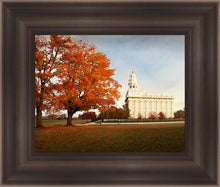 Load image into Gallery viewer, Nauvoo Changing Seasons
