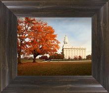 Load image into Gallery viewer, Nauvoo Changing Seasons

