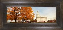Load image into Gallery viewer, Nauvoo Changing Seasons

