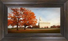 Load image into Gallery viewer, Nauvoo Changing Seasons
