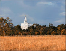 Load image into Gallery viewer, Nauvoo Fields
