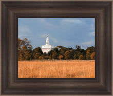 Load image into Gallery viewer, Nauvoo Fields
