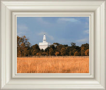Load image into Gallery viewer, Nauvoo Fields
