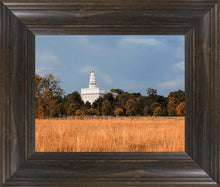 Load image into Gallery viewer, Nauvoo Fields
