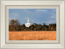 Load image into Gallery viewer, Nauvoo Fields
