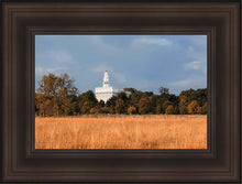 Load image into Gallery viewer, Nauvoo Fields
