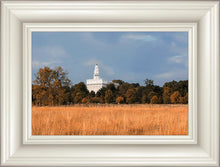 Load image into Gallery viewer, Nauvoo Fields
