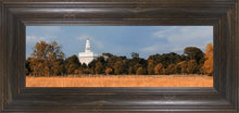 Load image into Gallery viewer, Nauvoo Fields
