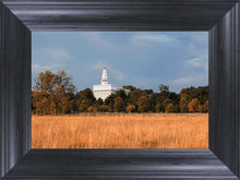Load image into Gallery viewer, Nauvoo Fields
