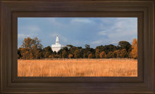 Load image into Gallery viewer, Nauvoo Fields
