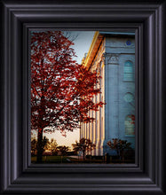 Load image into Gallery viewer, Nauvoo Hope For Tomorrow
