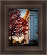 Load image into Gallery viewer, Nauvoo Hope For Tomorrow
