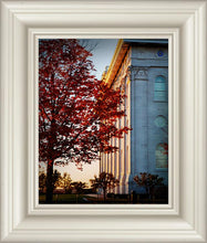 Load image into Gallery viewer, Nauvoo Hope For Tomorrow
