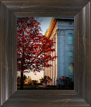 Load image into Gallery viewer, Nauvoo Hope For Tomorrow
