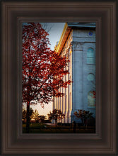 Load image into Gallery viewer, Nauvoo Hope For Tomorrow

