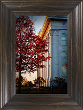 Load image into Gallery viewer, Nauvoo Hope For Tomorrow
