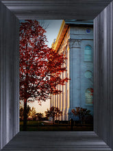Load image into Gallery viewer, Nauvoo Hope For Tomorrow
