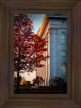 Load image into Gallery viewer, Nauvoo Hope For Tomorrow

