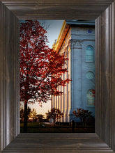 Load image into Gallery viewer, Nauvoo Hope For Tomorrow
