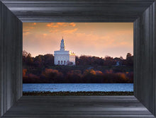 Load image into Gallery viewer, Nauvoo Miracle Of The Quail
