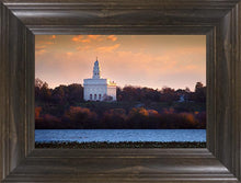 Load image into Gallery viewer, Nauvoo Miracle Of The Quail
