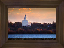 Load image into Gallery viewer, Nauvoo Miracle Of The Quail
