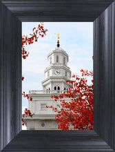 Load image into Gallery viewer, Nauvoo Red Leaves Over Spire
