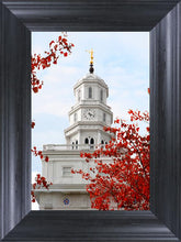 Load image into Gallery viewer, Nauvoo Red Leaves Over Spire
