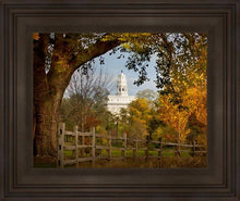 Load image into Gallery viewer, Nauvoo Young Street Farm
