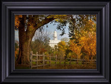 Load image into Gallery viewer, Nauvoo Young Street Farm
