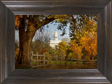 Load image into Gallery viewer, Nauvoo Young Street Farm
