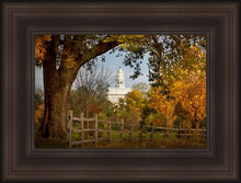 Load image into Gallery viewer, Nauvoo Young Street Farm

